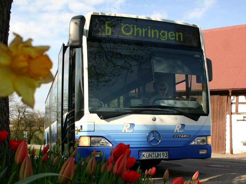 Tulpen vor dem Bus